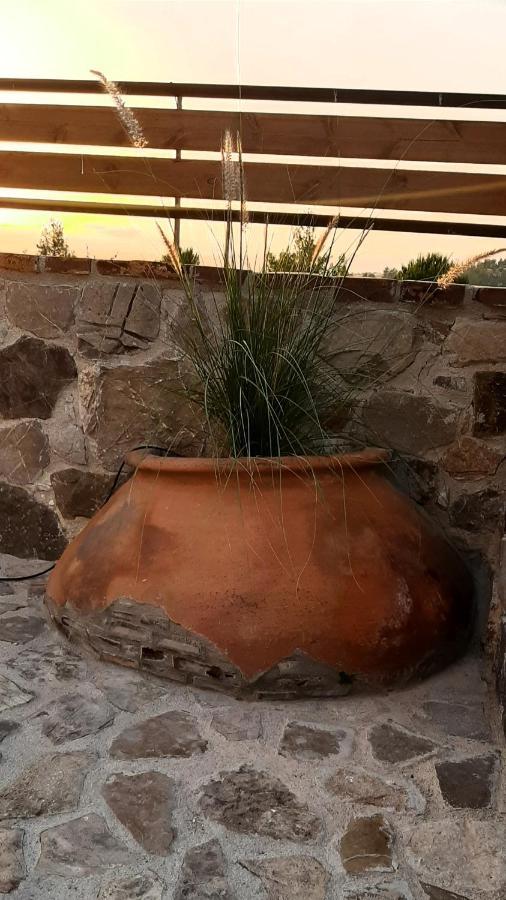 Savvas Brian Mountain House In Paphos Pendalia Exterior photo